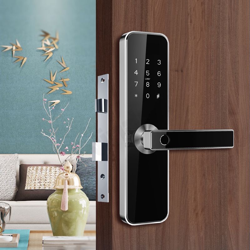 Smart Door Lock H31B