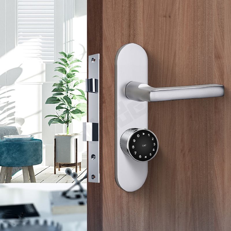 Smart Door Lock C10